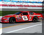 Dale Earnhardt Jr. and the Budweiser Chevrolet in Las Vegas